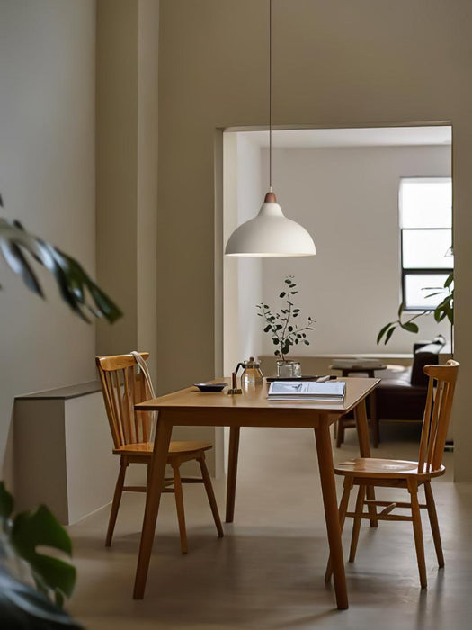 Natural Rustic Pendant Lamp-DWHOME