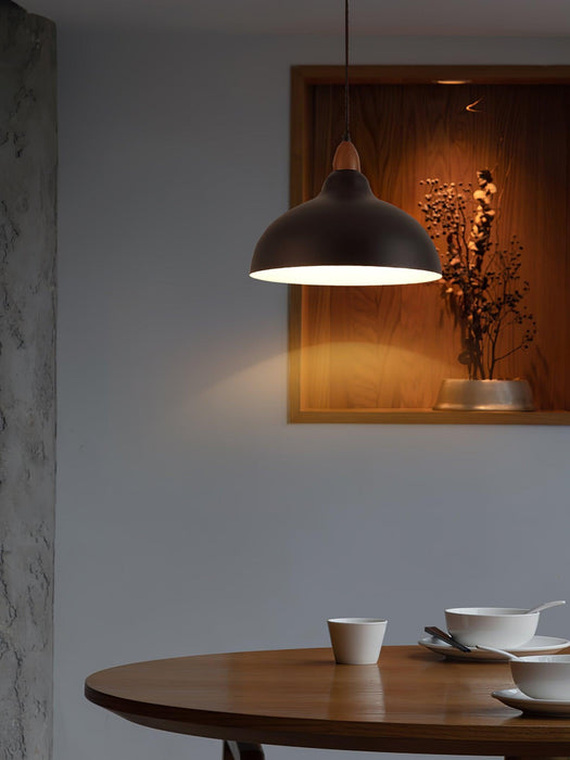 Natural Rustic Pendant Lamp-DWHOME