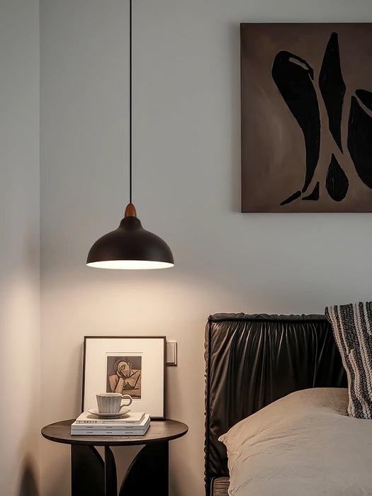 Natural Rustic Pendant Lamp-DWHOME