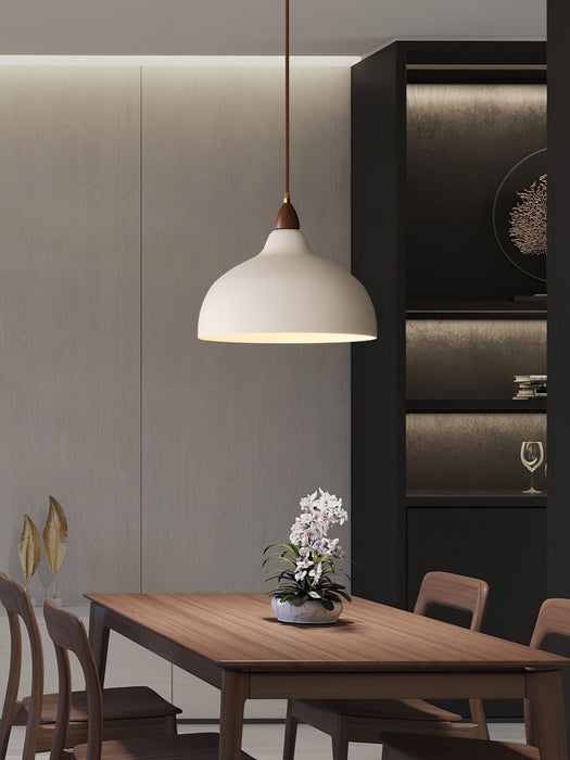 Natural Rustic Pendant Lamp-DWHOME