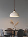 Natural Rustic Pendant Lamp-DWHOME