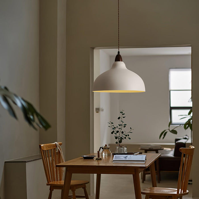 Natural Rustic Pendant Lamp-DWHOME