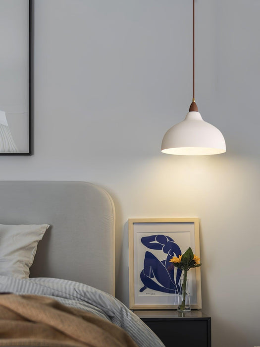 Natural Rustic Pendant Lamp-DWHOME