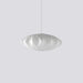 Nelson Swing Arm Pendant Lamp - DWHOME