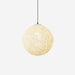Nest Sphere Pendant Light-DWHOME