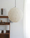 Nest Sphere Pendant Light-DWHOME