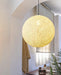 Nest Sphere Pendant Light-DWHOME