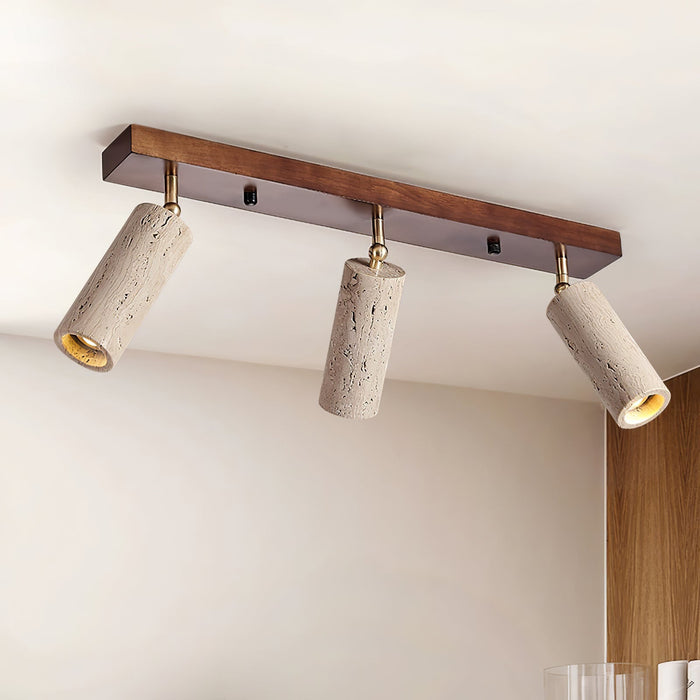 Nimbus Ceiling Spotlight-DWHOME