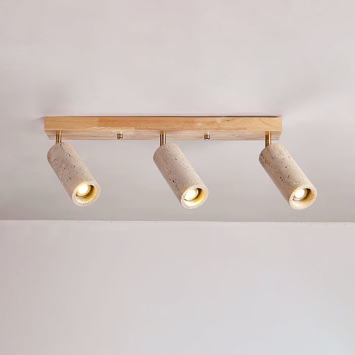Nimbus Ceiling Spotlight-DWHOME