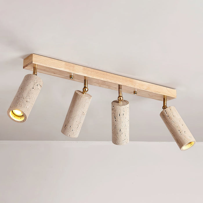 Nimbus Ceiling Spotlight-DWHOME