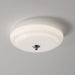 Noble Ceiling Lamp-DWHOME