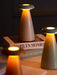 Noko Mushroom Rechargeable Table Lamp-DWHOME