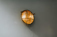 Nautilus Round Brass cage outdoor wall light / ceiling light - DWHOME