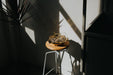 Nautilus Round Brass cage outdoor wall light / ceiling light - DWHOME