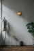 Nautilus Round Brass cage outdoor wall light / ceiling light - DWHOME
