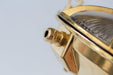 Nautilus Oval brass cage outdoor wall light / ceiling Light-DWHOME