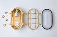 Nautilus Oval brass cage outdoor wall light / ceiling Light-DWHOME