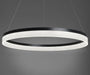 Olaug Modern Large Single Circle Ring Ceiling Light - DWHOME