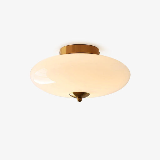 Opal Ceiling Lamp-DWHOME