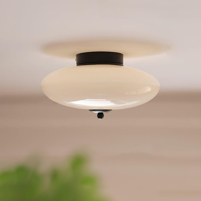 Opal Ceiling Lamp-DWHOME