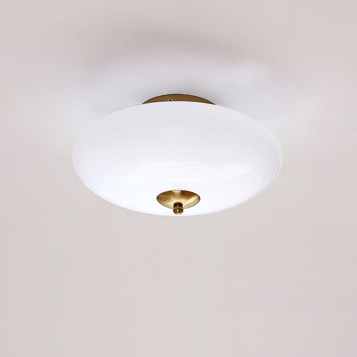 Opal Ceiling Lamp-DWHOME