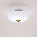 Opal Ceiling Lamp-DWHOME