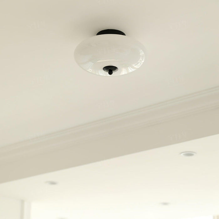 Opal Ceiling Lamp-DWHOME