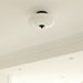 Opal Ceiling Lamp-DWHOME