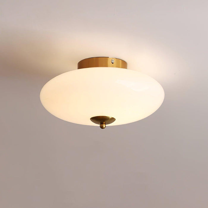 Opal Ceiling Lamp-DWHOME