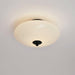 Opal Ceiling Lamp-DWHOME