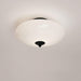 Opal Ceiling Lamp-DWHOME