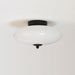 Opal Ceiling Lamp-DWHOME