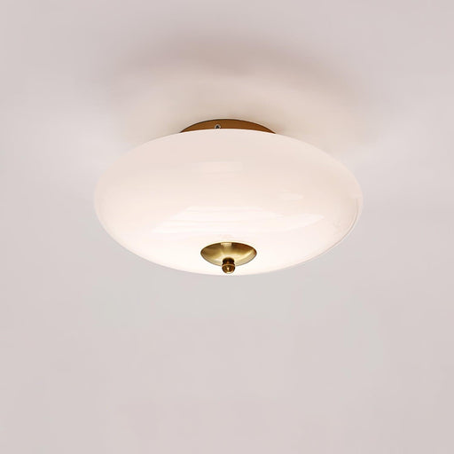 Opal Ceiling Lamp-DWHOME