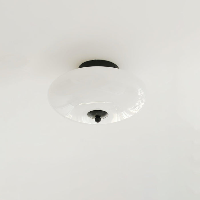 Opal Ceiling Lamp-DWHOME