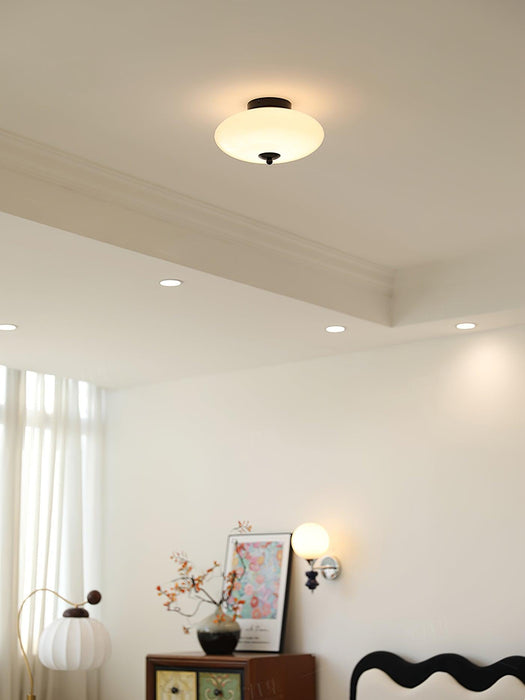 Opal Ceiling Lamp-DWHOME
