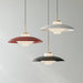 Opal Shade Pendant Lamp-DWHOME