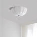 Opal Shell Ceiling Lamp-DWHOME