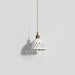 Openwork Ceramic Pendant Swag Light-DWHOME