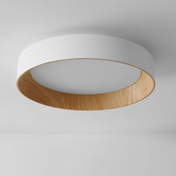 Oreen Ceiling Lamp-DWHOME