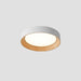 Oreen Ceiling Lamp-DWHOME