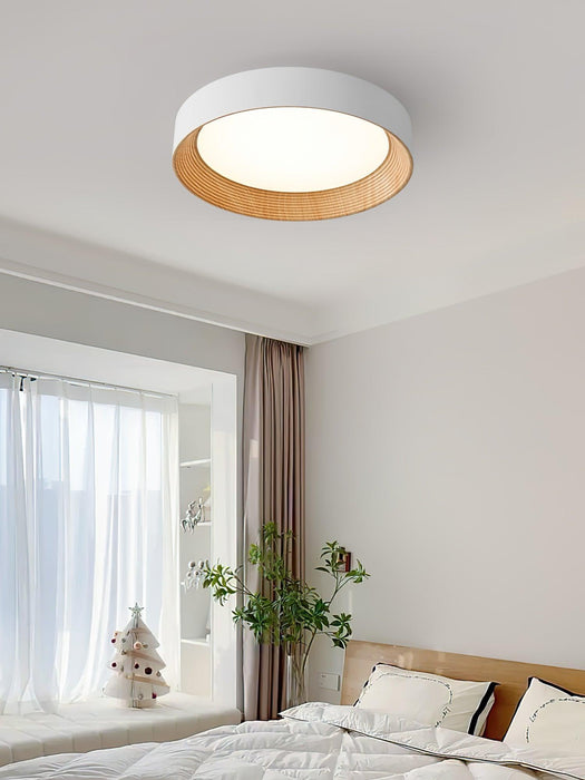Oreen Ceiling Lamp-DWHOME