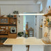 Organic Glass Pendant Light-DWHOME