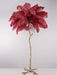 Ostrich Feather Brass Floor Lamp - DWHOME