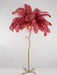 Ostrich Feather Brass Floor Lamp - DWHOME