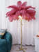 Ostrich Feather Brass Floor Lamp - DWHOME