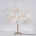 Ostrich Feather Table Lamp - DWHOME