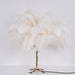 Ostrich Feather Table Lamp - DWHOME
