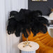 Ostrich Feather Table Lamp - DWHOME
