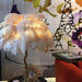 Ostrich Feather Table Lamp - DWHOME
