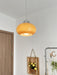 Oval Persimmon Pendant Light - DWHOME
